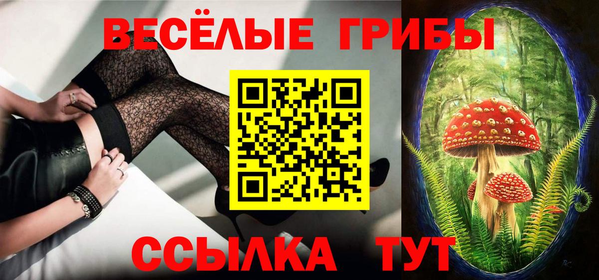 Псилоцибиновые грибы прущие грибы Саянск