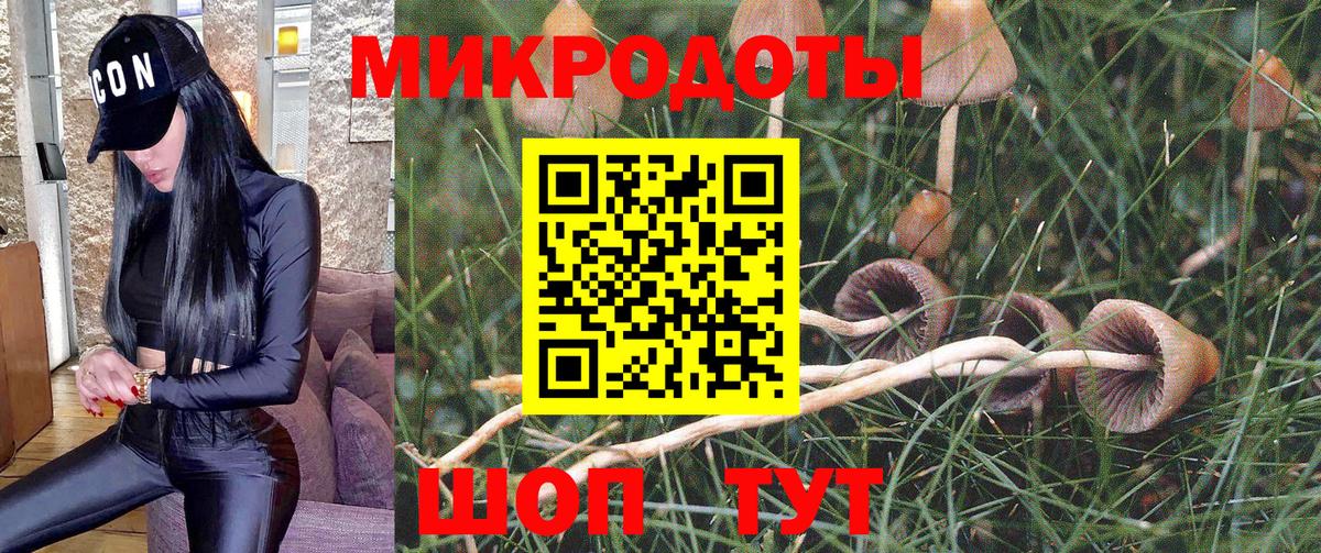 Саянск  Псилоцибиновые грибы Psilocybine cubensis  продажа наркотиков  Вход с VPN 